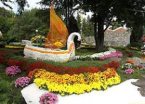 В Пловдиве прошла выставка осенних цветков